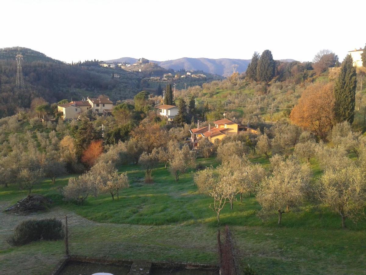 Podere Sanlorenzo Bed & Breakfast Carmignano Exterior photo