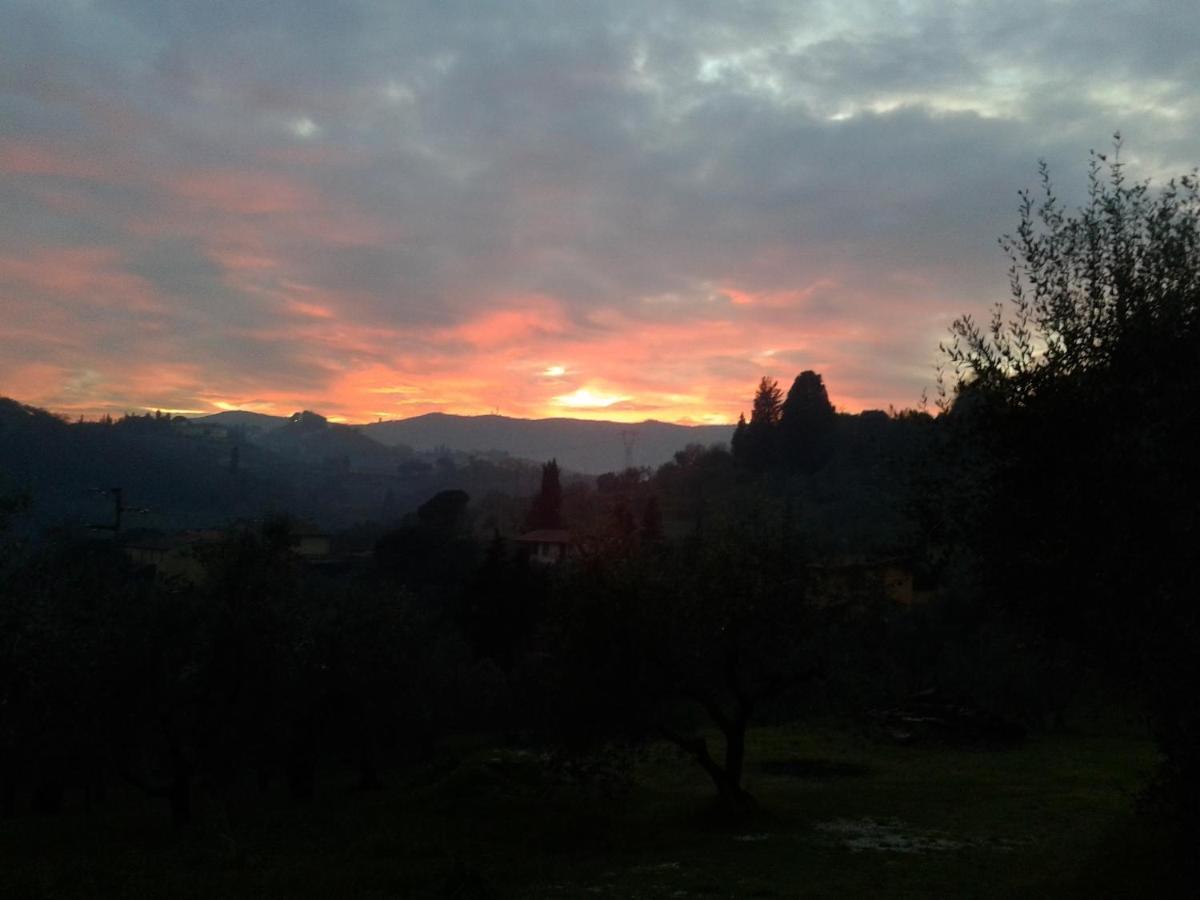 Podere Sanlorenzo Bed & Breakfast Carmignano Exterior photo