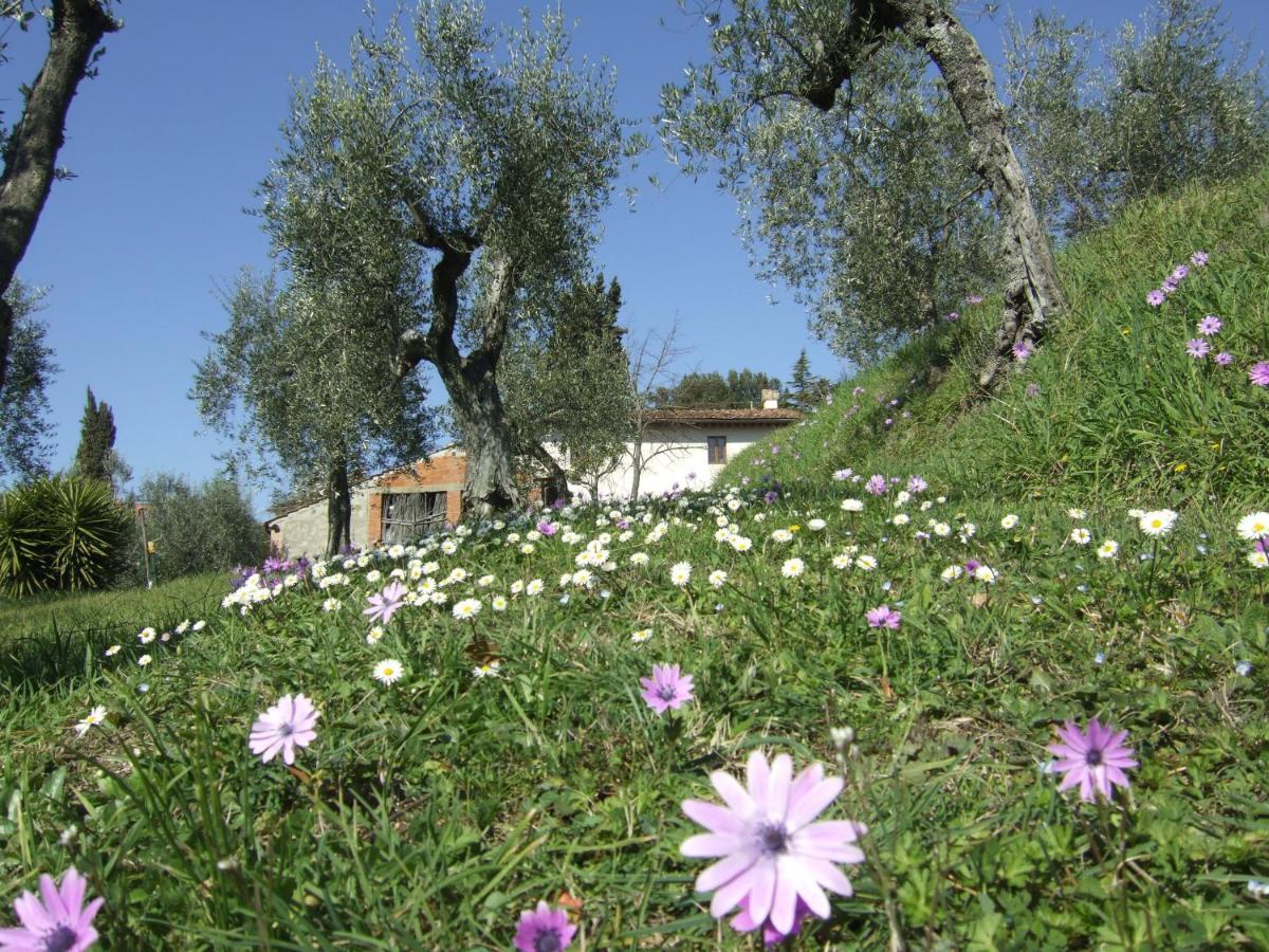 Podere Sanlorenzo Bed & Breakfast Carmignano Exterior photo