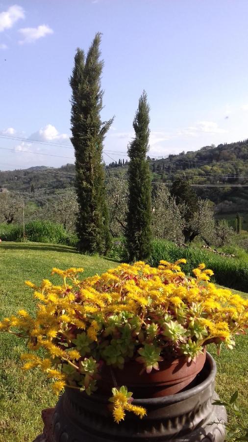 Podere Sanlorenzo Bed & Breakfast Carmignano Exterior photo